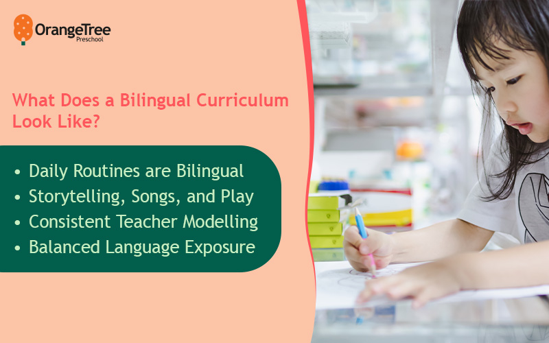 bilingual curriculum infographic